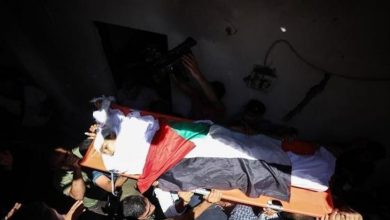 Photo of حقوقي فلسطيني: “إسرائيل” تحتجز جثامين 80 شهيدا في الثلاجات