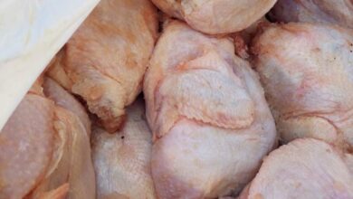 Photo of اتلاف كميات كبيرة من الدجاج بالزرقاء